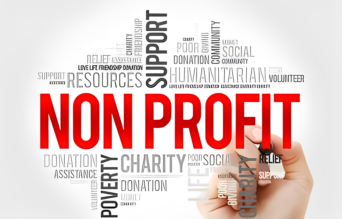 Non profit organisation